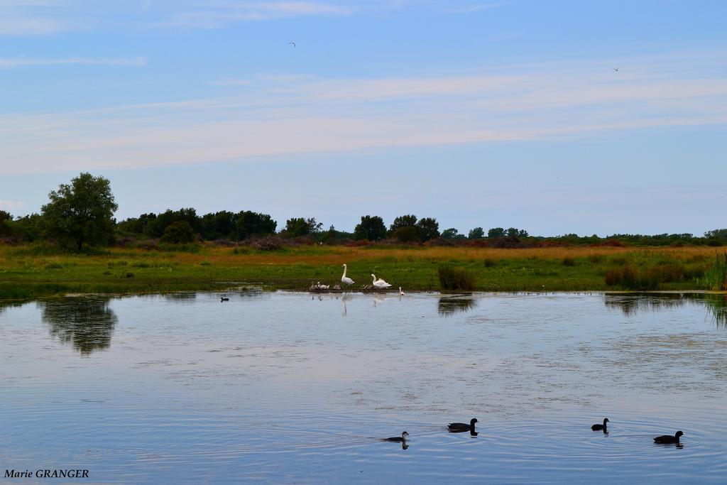 Gite Les Vents Du Large L'Aigrette Le Crotoy Exterior foto